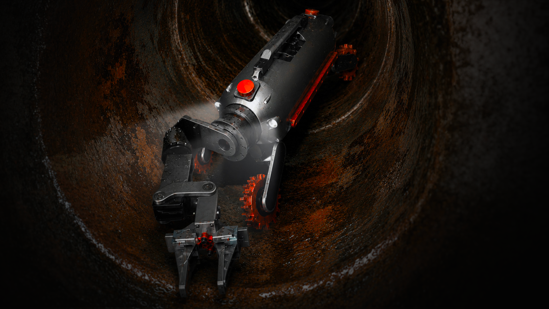 Cheliped arm inside a sewer pipe